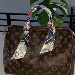 Louis Vuitton Speedy 30 Monogram